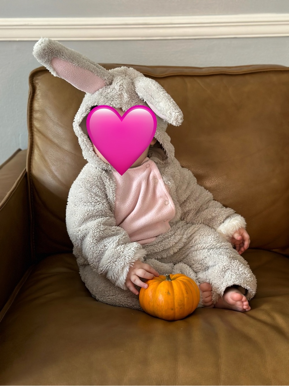 Pottery Barn Kids Bunny Costume